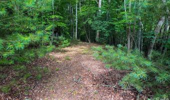 724 Streamside Dr, Arden, NC 28704
