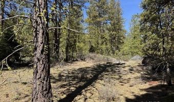 Horned Owl Lane, Bonanza, OR 97623