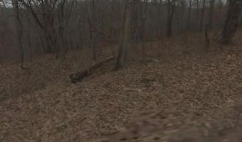 Winsford CIR, Bella Vista, AR 72715