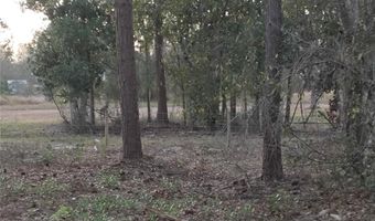 0 ALTURAS BABSON PARK CUTOFF Rd Lot 78, Bartow, FL 33830