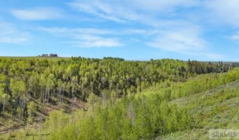 1550 W Rim Loop Rd, Ashton, ID 83420