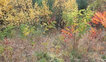 3 Beechwoods Dr Lot 3, Bartlett, NH 03845