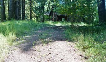 9965 BEACH Dr, Birkenfeld, OR 97016