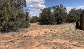 00 Off Of Rainy Rd 64, Ash Fork, AZ 86320