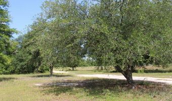 5929 Nichols Rd, Bascom, FL 32423