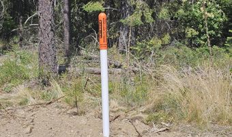 Lot 1 TJ Trail, Athol, ID 83801