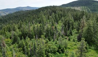 NKA INITIAL PEAK Rd, Cataldo, ID 83810