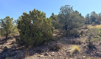 1037 S Canyon Dr, Cedar City, UT 84720