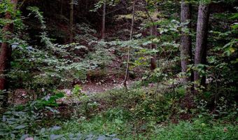 State Route 550, Amesville, OH 45711