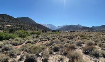 1220 SETTLER'S Way, Dyer, NV 89010