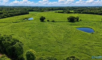 38 Acres Hershell Jones Rd, Arab, AL 35016
