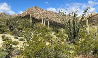 240 S Alley Rd, Ajo, AZ 85321