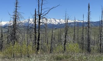 TBD MOUNTAIN VIEW Drive, Bondurant, WY 82922