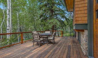 203 Eastwood Dr, Aspen, CO 81611