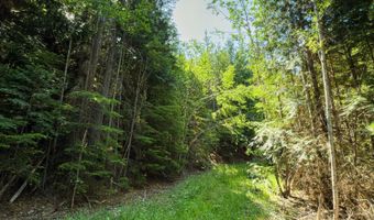 Nna Log Cabin Rd, Bonners Ferry, ID 83805