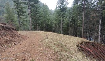 480 Dunn Peak Rd, Avery, ID 83802