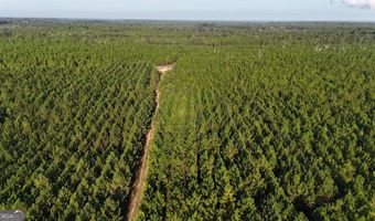 Penny Morris Road, Baxley, GA 31513