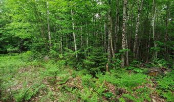 Map 14 lot 50, Andover, ME 04216
