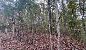 141 144 COUNTY RD 219, Arley, AL 35541