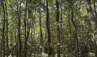0 Highway 31, Bay Minette, AL 36507