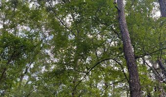 TBD County Road 40, Abbeville, AL 36310