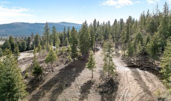 NKA Healing Dr. Lot 2 and Lot 3, Blanchard, ID 83804