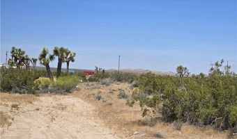 10 Beaver Avenue Acres, Adelanto, CA 92301