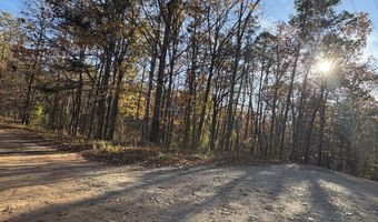 33 Eagle Rdg, Ball Ground, GA 30107