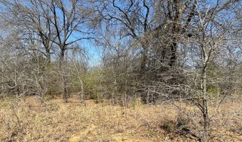 Willow Bend Lane, Atoka, OK 74525
