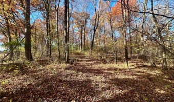 Tbd 125th Street, Alden, WI 54001