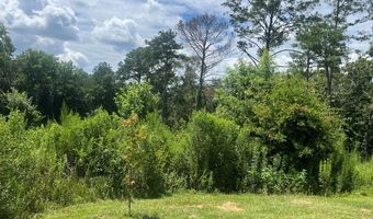 916 County Road 6632, Banks, AL 36005