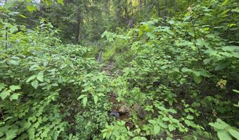 480 Dunn Peak Rd, Avery, ID 83802