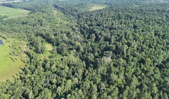 Swamp Road, Beech Island, SC 29842