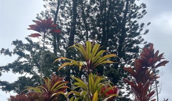 Hana Hwy lot 20, Hana, HI 96713