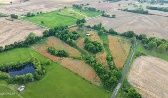 1632 Williams Rd, Alamo, TN 38001