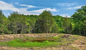 2926 Bryant Ridge Rd, Baxter, TN 38544