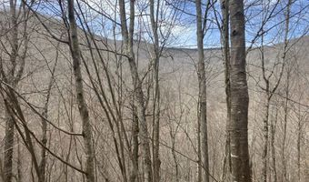 0 TBD Elleber Sods Rd, Bartow, WV 24920