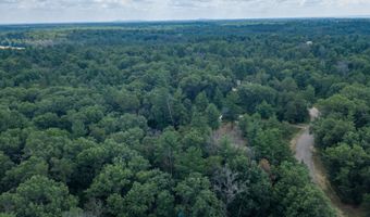 5 Ac 19th Ct, Arkdale, WI 54613