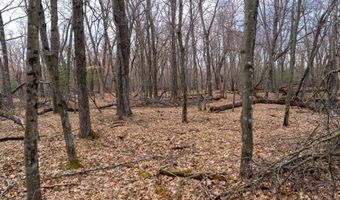 255 45 Ac Dover Dr, Adams, WI 53910
