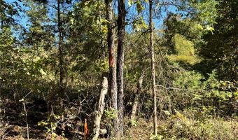 1011 Granny Hollar Rd, Atkins, AR 72823