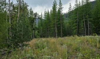 Nna WESTSIDE RD PARCEL 12, Bonners Ferry, ID 83805