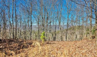 1441 Valley View Heights Ln Lot 3, Andrews, NC 28901