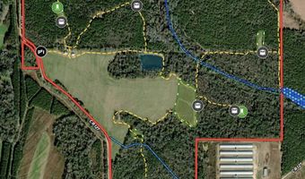County Road 127, Banks, AL 36005