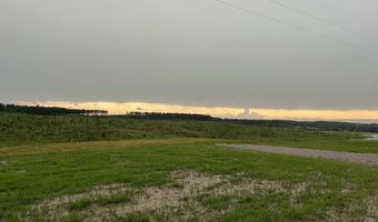 0 Otis Paine Rd, Bethel Springs, TN 38315