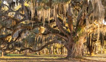 211 Harborview Dr, Beaufort, SC 29907