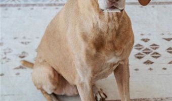 225 Linwood Ln, Aurora, OH 44202