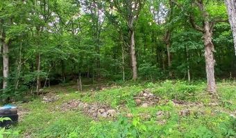 14773 Highway E, Arcadia, MO 63621
