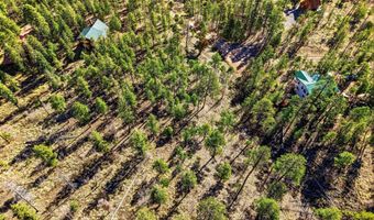 12 W Pergatory Dr, Alpine, AZ 85920