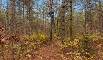 8752 HWY A, Almond, WI 54909