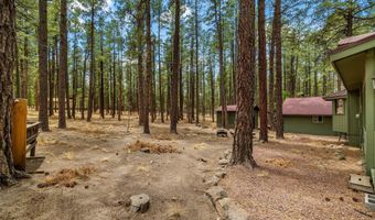 8 County Road 2267, Alpine, AZ 85920